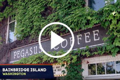Bainbridge Island Photo Video - Pegasus Coffee House Ivy