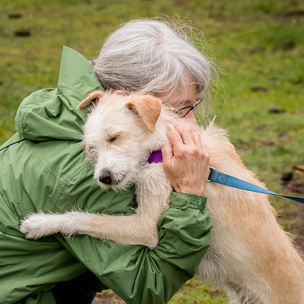 Bainbridge Island Emergency Help Dog Cat Pet