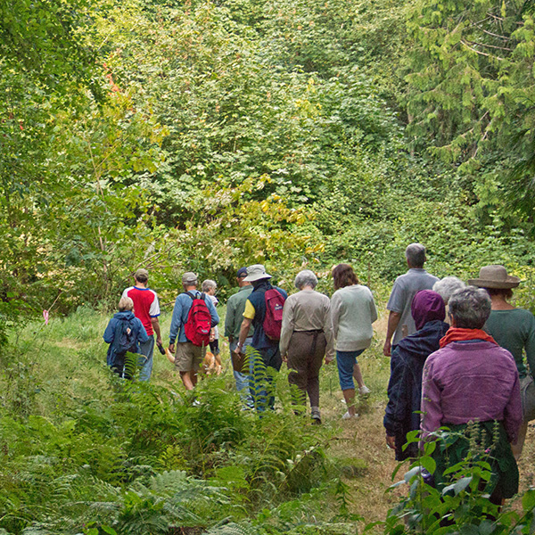 Bainbridge Island Land Trust Nonprofits