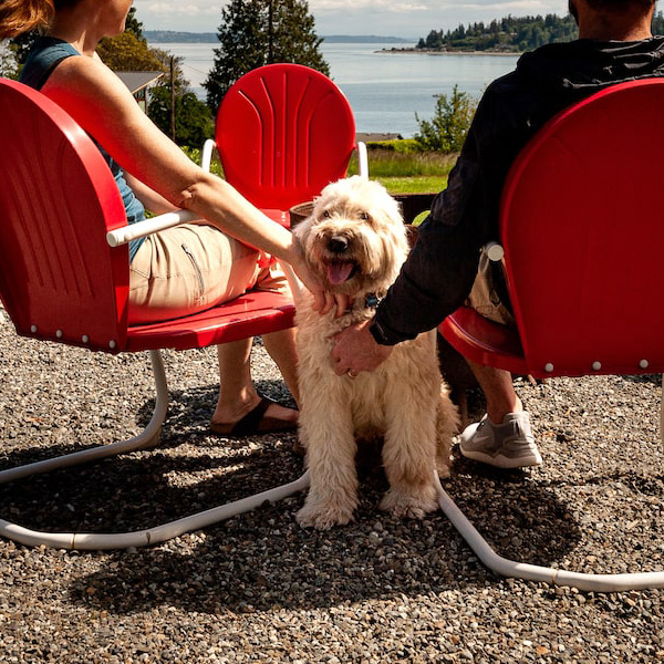 Happy Dog Rich Passage Bainbridge Island