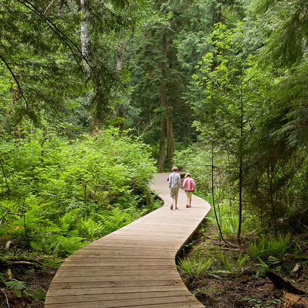 Forest Sky Trail Bainbridge Island Play