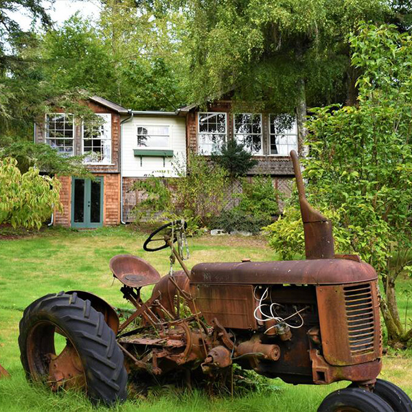 Froggy Heights AirBnB Bainbridge Island Stay